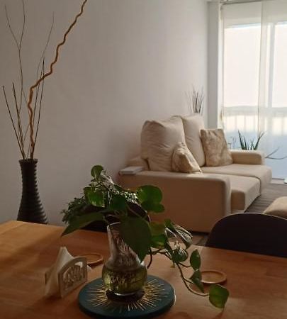 Apartamento Entero De Tres Habitaciones, Cerca De La Playa! Acogedor, Luminoso Y Tranquilo มัลกรัตเดมาร์ ภายนอก รูปภาพ